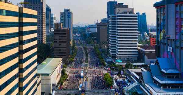 属猴2024年11月8日运势,属猴人2024年11月8日财运,生肖猴2024年11月8日运势