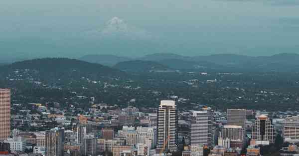 属鸡2024年9月5日运势,属鸡人2024年9月5日财运,生肖鸡2024年9月5日运势