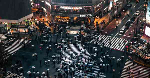 属猴2024年7月24日运势,属猴人2024年7月24日财运,生肖猴2024年7月24日运势